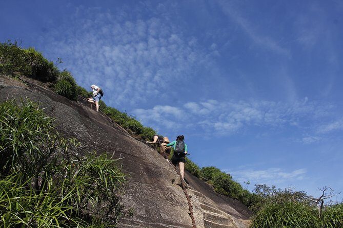 Pico da Tijuca Hiking Tour in Tijuca Forest National Park - Exploring the Pico da Tijuca Hiking Tour: The Details