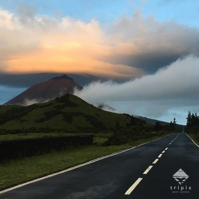 Pico Day Tour: Get to know Pico Island with a local guide - Key Points