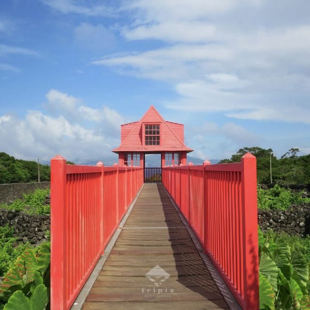 Pico Day Tour: Get to know Pico Island with a local guide - Cheese Factory and Tasting