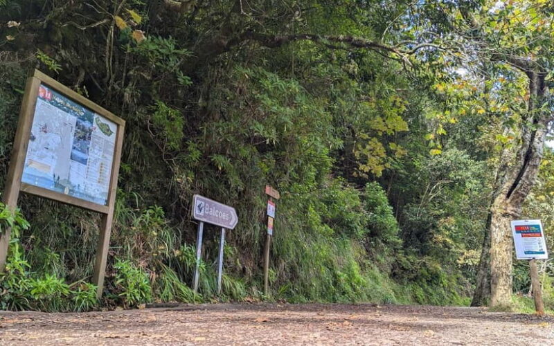 Pico do Arieiro in 4h: Immersive Private Jeep Experience - Pico do Arieiro in 4h: Immersive Private Jeep Experience