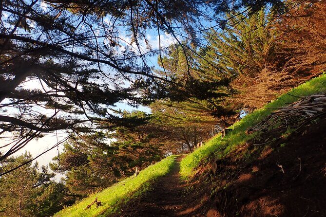 Pico do Facho Panoramic Trail - Key Points