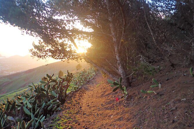 Pico do Facho Panoramic Trail - Who Should Consider This Tour?