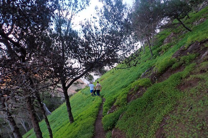 Pico do Facho Panoramic Trail - The Sum Up: Who Will Love This?