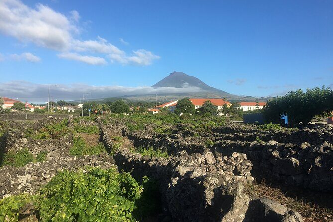 Pico Girl Power Wine Tasting and Cultural Experience - Frequently Asked Questions