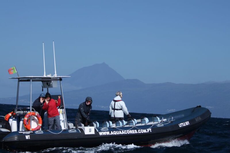 Pico Island: Azores Whale & Dolphin Watching on Zodiac Boat - An Authentic Marine Adventure on Pico Island