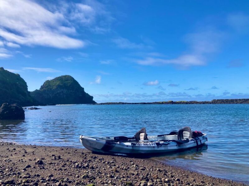Pico island: guided kayak and snorkel tour - Pricing and Value