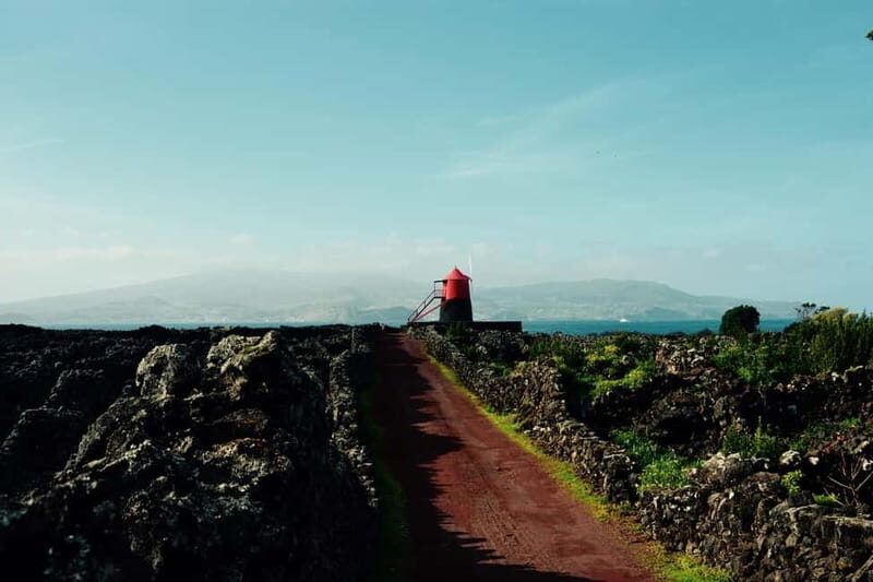 Pico island: highlights, wine tasting and local gastronomy - Practical Aspects and Value