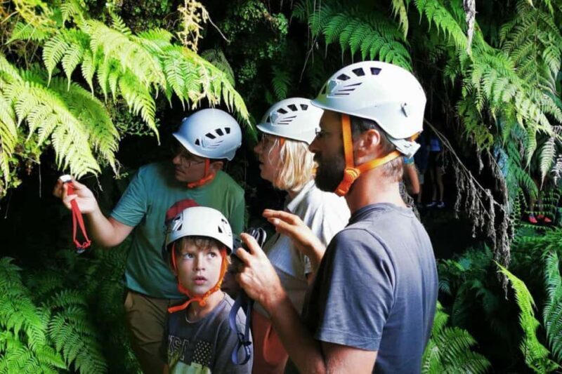 Pico Island: Private Highlights Tour - FAQ
