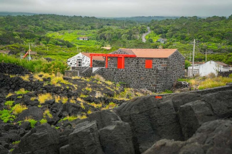 Pico Island: Wine and Vineyards Tour with Tasting - Exploring Pico’s Wine Heritage: A Complete Overview