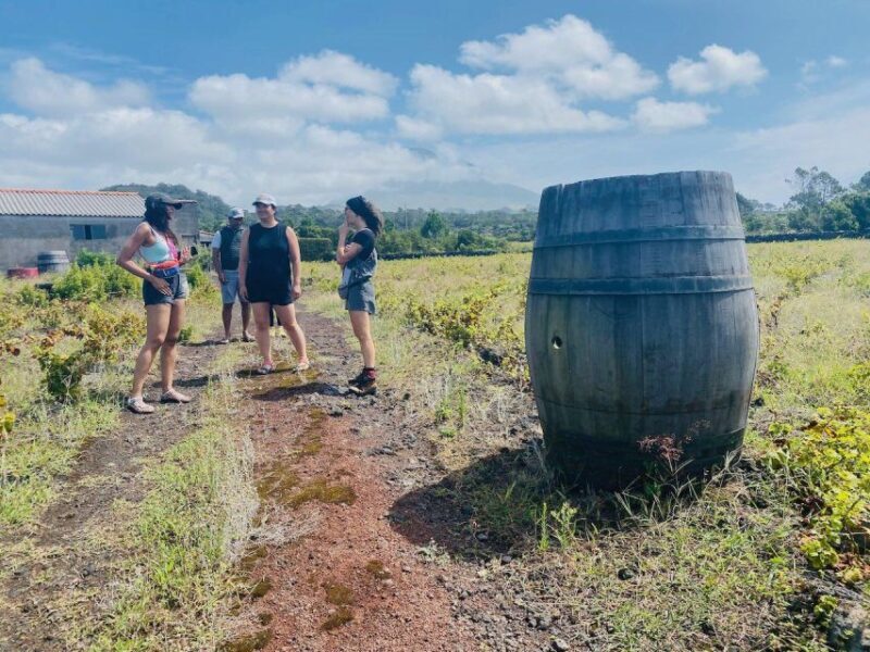 Pico Island: Wine Tasting, Independent Producers & Culture - FAQ