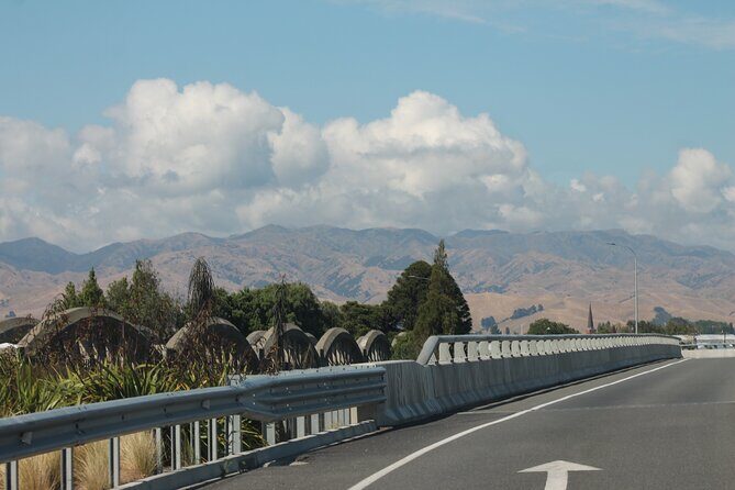 Picton & Blenheim Scenic Tour - A Charming Slice of Marlborough: Picton & Blenheim Scenic Tour