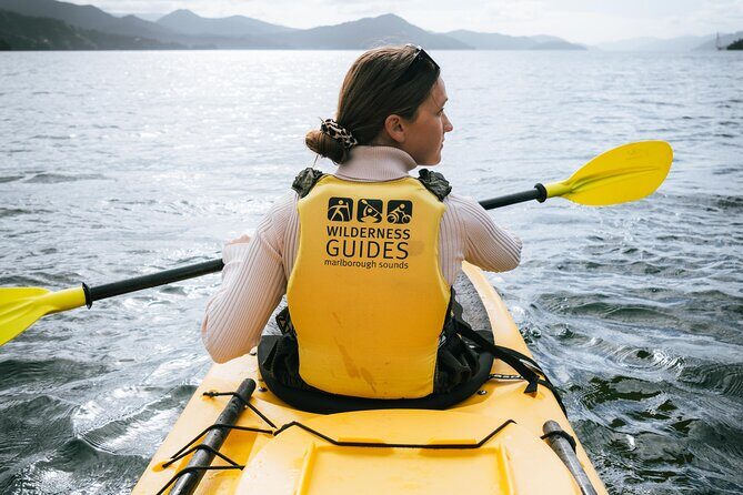 Picton Morning Guided Kayak with Afternoon Boat Cruise Tour - Picton Morning Guided Kayak with Afternoon Boat Cruise Tour: An Authentic Marlborough Adventure