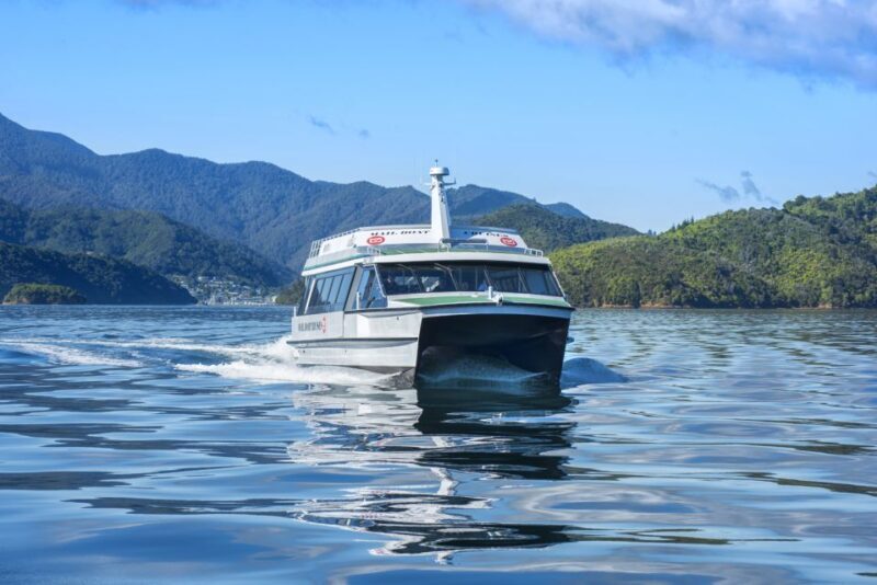 Picton Shore Excursion: Queen Charlotte Sounds Cruise - A Deep Dive into the Queen Charlotte Sounds Cruise