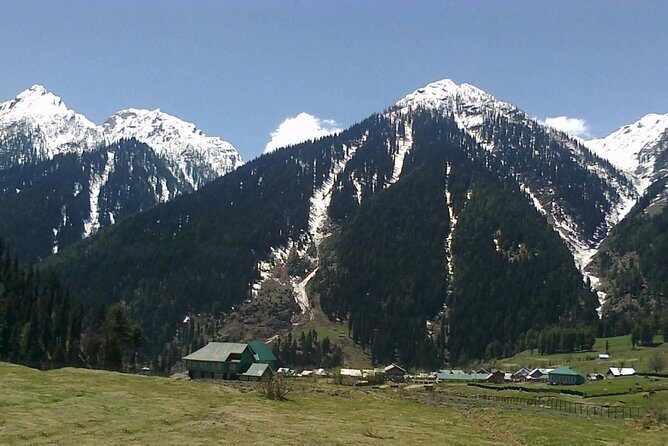 Picturesque Pahalgam: A Memorable Day Trip from Srinagar - Who Will Benefit Most from This Experience?