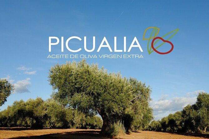 Picualia, visit the oil mill & EVOO tasting - An Authentic and Educational Journey into Olive Oil at Picualia