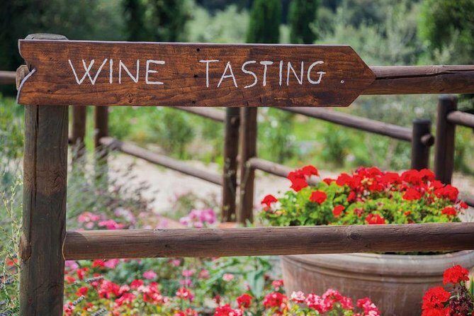 Piedmont Wine Tasting Tours Experience, Italy - Final Thoughts: Is It Worth the Price?