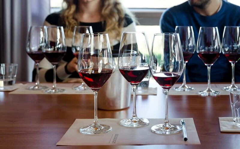Piedmont: Winery Tour, Taste Barolo, Barbaresco & Local Food - An Authentic Taste of Piedmont: Winery Tour, Barolo & Local Delights