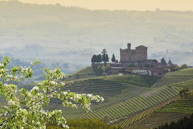 Piedmont Winery Tour: Taste Barolo, Barbaresco & Traditional Food - FAQ