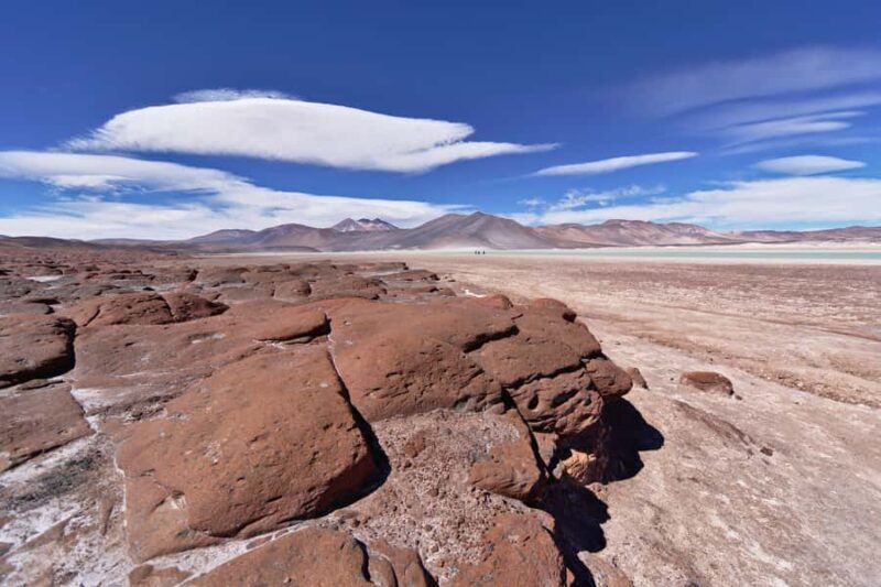 Piedras Rojas, Altiplanics Lagoons & Salar Full-Day Tour - Key Points