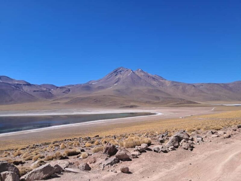 Piedras Rojas, Altiplanics Lagoons & Salar Full-Day Tour - What Makes This Tour Stand Out