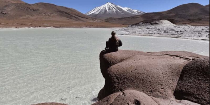 Piedras Rojas, Altiplanics Lagoons & Salar Full Day Tour - Overview of the Tour Experience