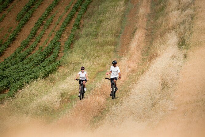 Pienza - Ebike tour for a full immersion in Val d'Orcia. - A Deep Dive into the Pienza E-bike Experience