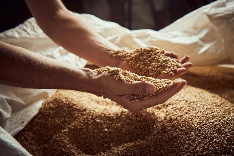 Pienza: tour of the mill with oil and wine tasting - A Deep Dive into the Experience