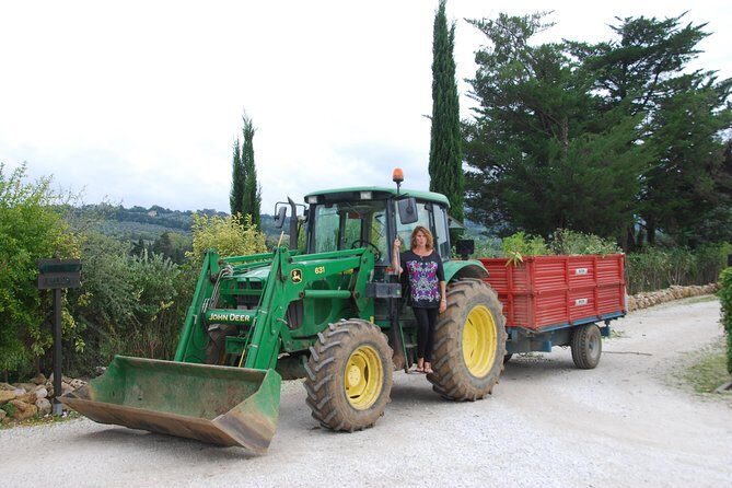 Pienza, Val d'Orcia, Montalcino wine and Pecorino cheese PRIVATE TOUR from SIENA - Frequently Asked Questions