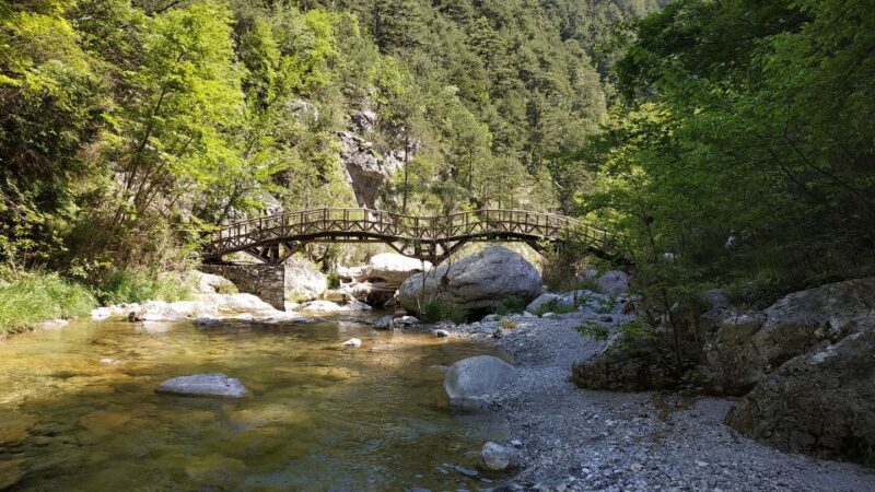 Pieria: Guided Hiking Tour in Enipeas Gorge of Mount Olympus - An In-Depth Look at the Enipeas Gorge Hike