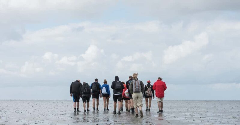 Pieterburen: Wadden Sea Mudflats Guided Walking Tour - FAQ