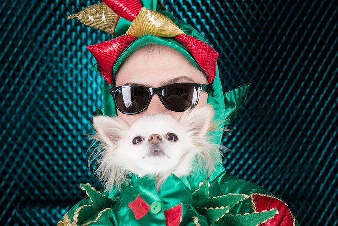 Piff the Magic Dragon at the Flamingo Las Vegas - FAQ