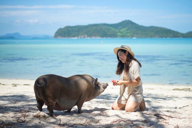 Pig Island (Koh Mudsum) and Koh Tan Tour with Meal from Koh Samui - Experience the Charm of Koh Samui’s Nearby Islands: Pig Island and Koh Tan Tour