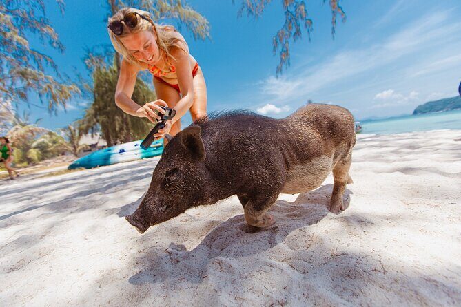 Pig Island Private Longtail Boat Trip From Koh Samui - FAQs