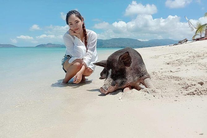 Pig Island Snorkeling & Sightseeing Tour By Speedboat From Koh Samui - Reviews: Real Traveler Insights