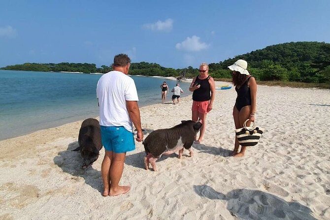 Pig Island Snorkeling & Sightseeing Tour By Speedboat From Koh Samui - FAQs