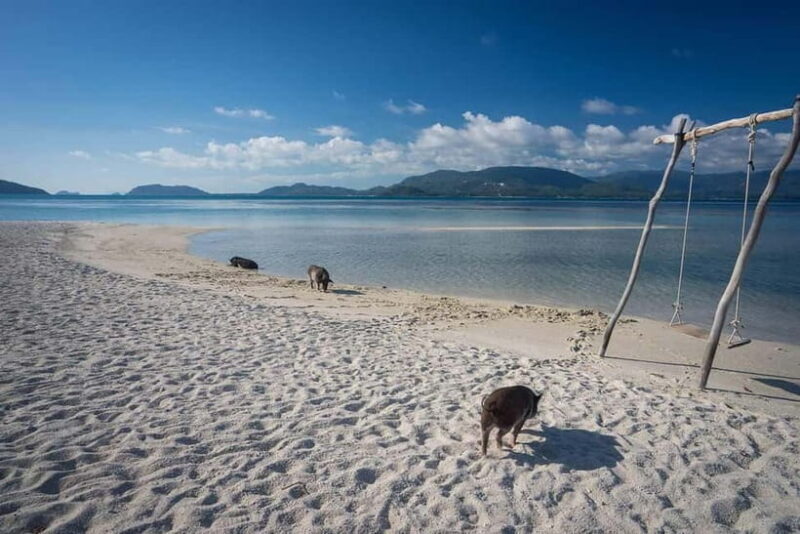 Pig Island(Koh Mudsum) and Koh Tan Half Day Snorkeling Tour - Pig Island (Koh Mudsum) and Koh Tan Half Day Snorkeling Tour: A Practical Guide