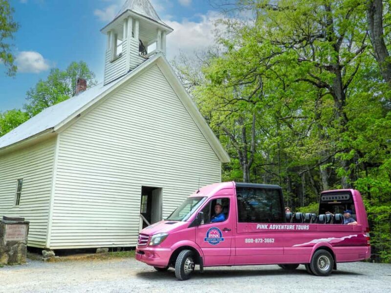 Pigeon Forge: Cades Cove Tour in a Pink Panorama Van - The Value of the Experience