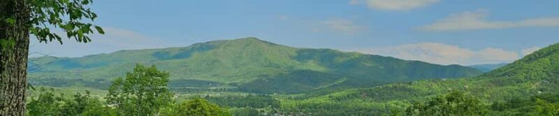 Pigeon Forge: Smoky Bear Discovery Tour - Experience the Smokies Like a Local with the Smoky Bear Discovery Tour