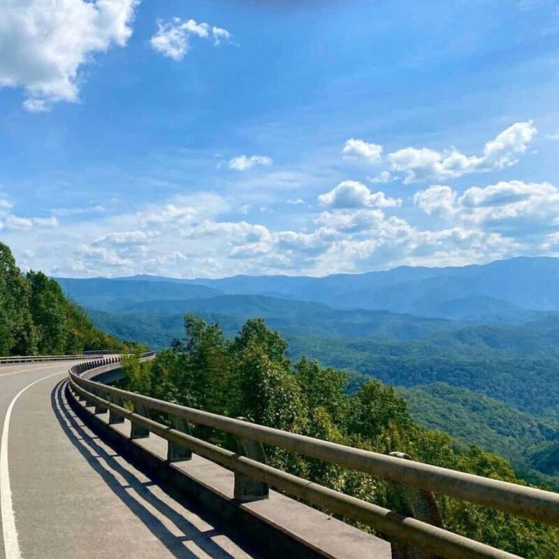 Pigeon Forge: Smoky Bear Discovery Tour - Who Should Consider This Tour?
