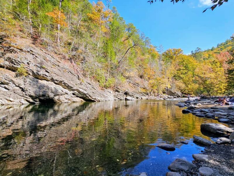 Pigeon Forge: Smoky Bear Discovery Tour - Final Thoughts