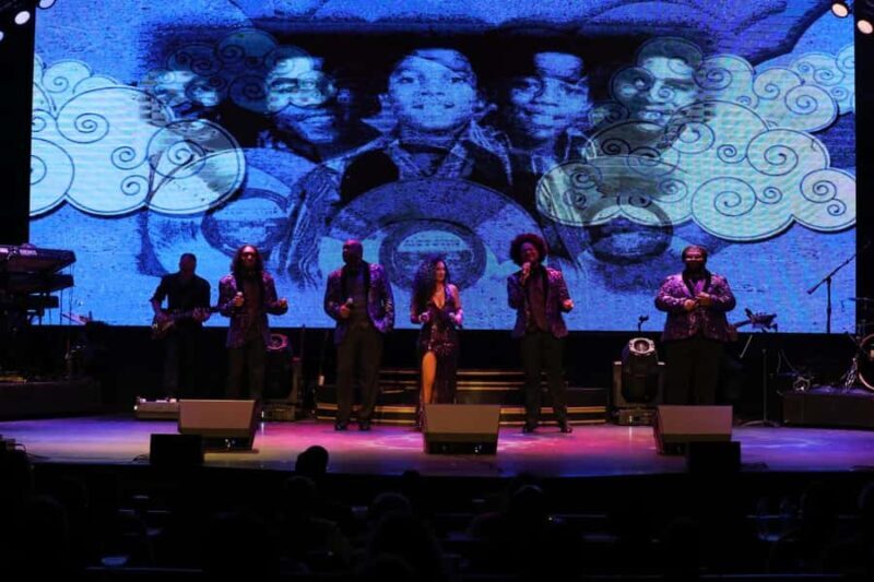 Pigeon Forge: Soul of Motown Show at Grand Majestic Theater - Who Should Consider This Tour?