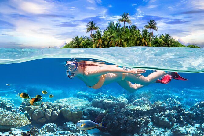 Pigeon Island Snorkeling Tour From Uppuveli Beach - Pigeon Island Snorkeling Tour From Uppuveli Beach