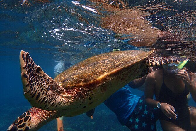 Pigeon Island Snorkeling Tour From Uppuveli Beach - The Value of the Tour