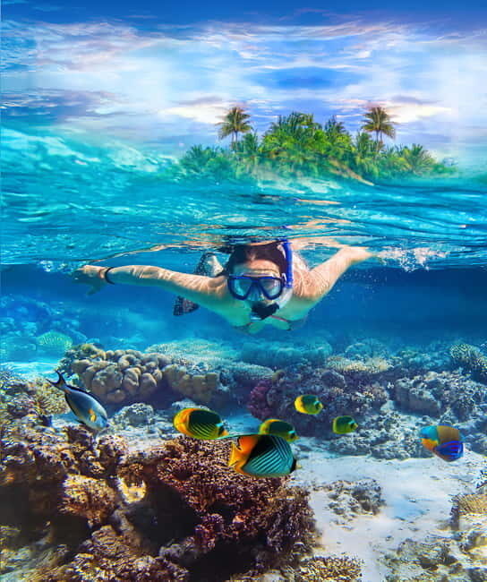 Pigeon Island Snorkeling Tour from Uppuveli Beach - Pigeon Island Snorkeling Tour from Uppuveli Beach