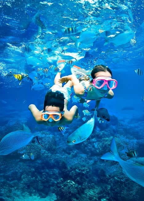 Pigeon Island Snorkeling Tour from Uppuveli Beach - Key Points