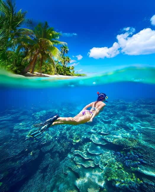 Pigeon Island Snorkeling Tour from Uppuveli Beach - Who Will Love This Tour?