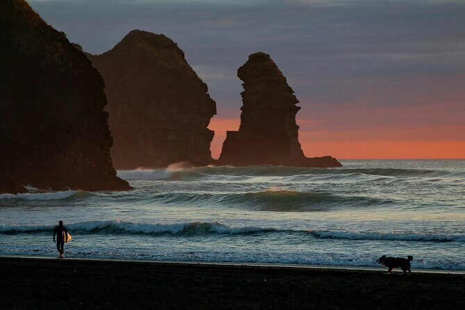 Piha Beach & Wilderness Nature : PRIVATE TOUR 8 hrs - Discover Auckland and the Wild Beauty of Piha Beach with a Private 8-Hour Tour