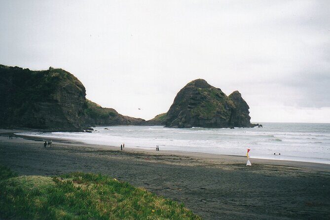 Piha Beach & Wilderness Nature : PRIVATE TOUR 8 hrs - Who Will Love This Tour?