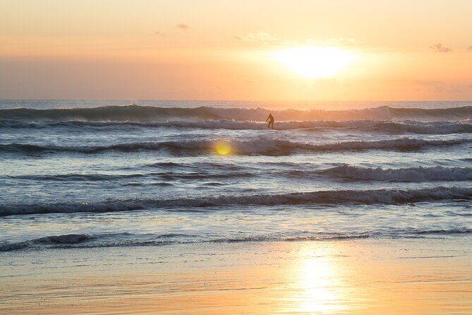 Piha Beach & Wilderness Nature : PRIVATE TOUR 8 hrs - Final Thoughts