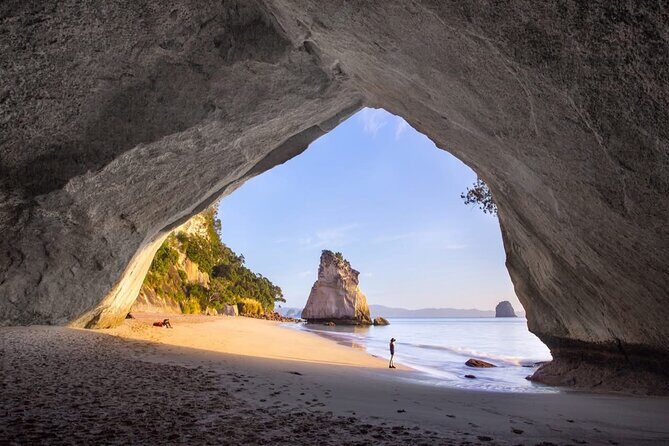 Piha Beach & Wilderness Nature : PRIVATE TOUR 8 hrs - References